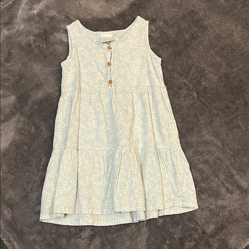 (2) 3t Little Co dresses